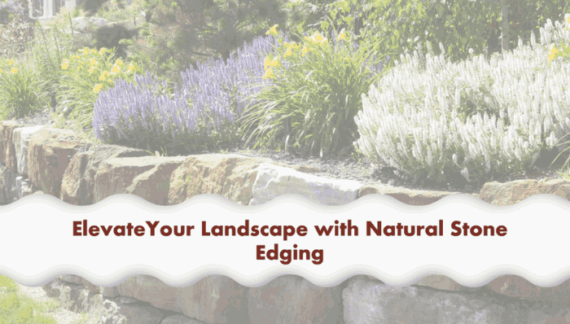 Natural Stone Edging